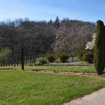 La Vigneraie Apartment Albiac Bagian luar foto